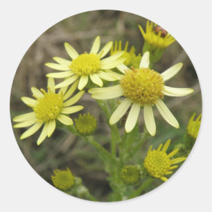 Mooie Gele Wilde Bloemen Sticker