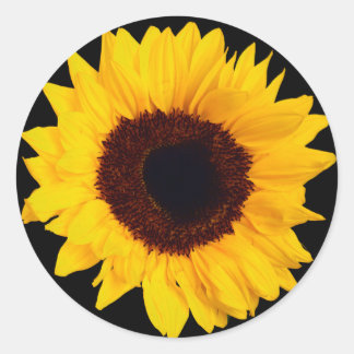 Mooie gele zonnebloem Sticker Envelope Seal