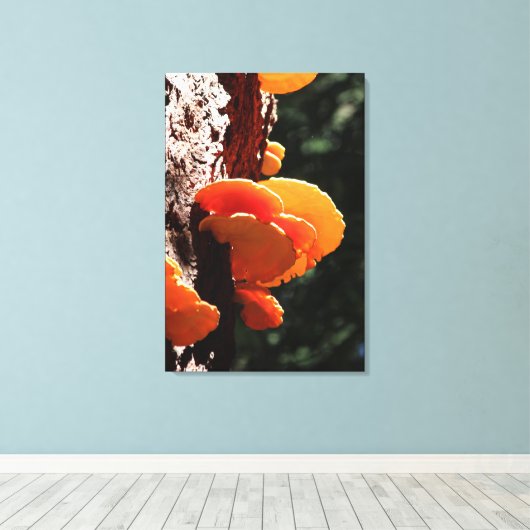 Mooie gele zwavel plank schimmel canvas Print (Insitu (Houten vloer))