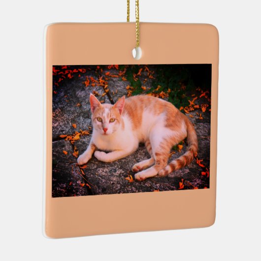 Mooie gemberkat keramisch ornament (Rechts)