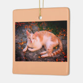 Mooie gemberkat keramisch ornament (Links)