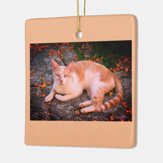 Mooie gemberkat keramisch ornament (Links)