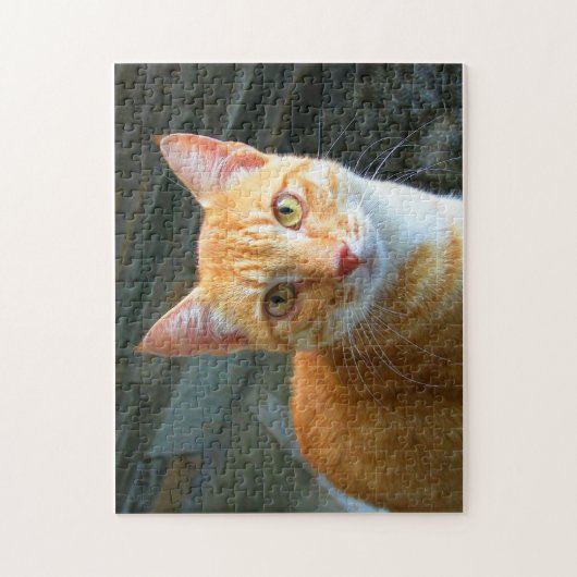 Mooie gemberkat legpuzzel (Verticaal)