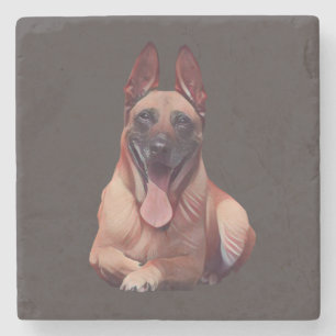 Mooie Geschilderde Belgische Malinois Marmeren Ond Stenen Onderzetter
