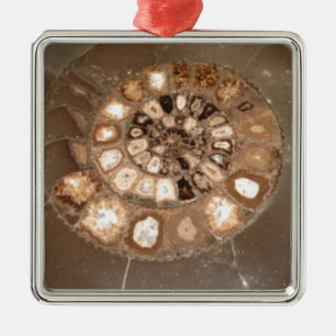 Mooie gesegmenteerde Dactylioceras ammenite fossie Metalen Ornament