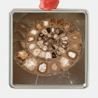 Mooie gesegmenteerde Dactylioceras ammenite fossie Metalen Ornament