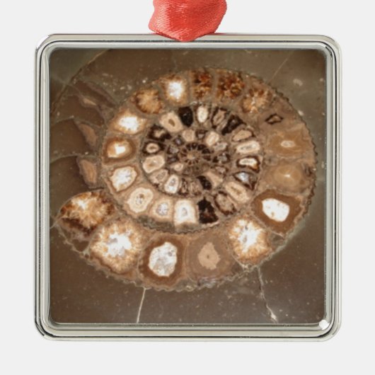 Mooie gesegmenteerde Dactylioceras ammenite fossie Metalen Ornament (Voorkant)