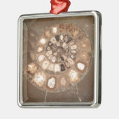 Mooie gesegmenteerde Dactylioceras ammenite fossie Metalen Ornament (Links)