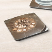 Mooie gesegmenteerde Dactylioceras ammenite fossie Onderzetter (Linkerzijde)