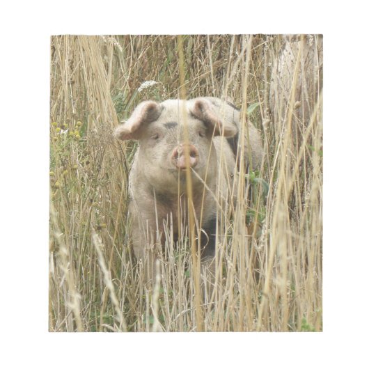 Mooie gespikkelde varkensnotitieblok notitieblok (Voorkant)