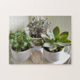 Mooie gesukkulenten in pot met zeeschelp foto legpuzzel