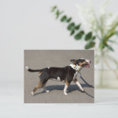 Mooie getitreerde Bullanger Briefkaart (Staand voorkant)