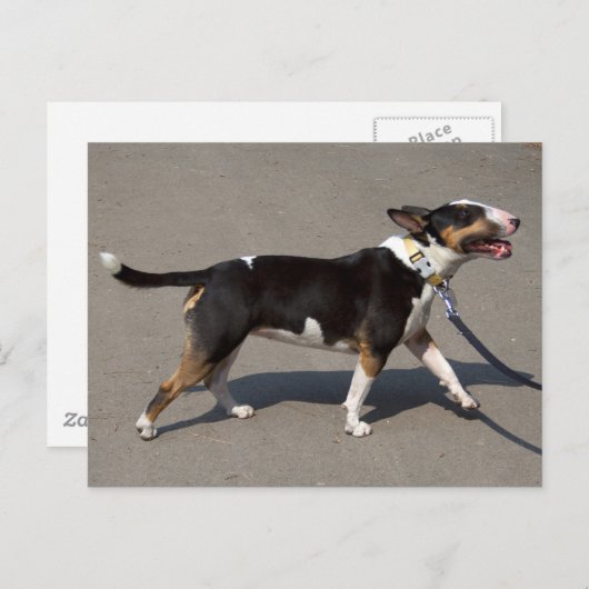 Mooie getitreerde Bullanger Briefkaart (Voorkant / Achterkant)