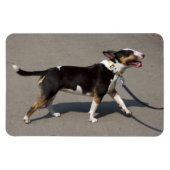 Mooie getitreerde Bullanger Magneet (Horizontaal)