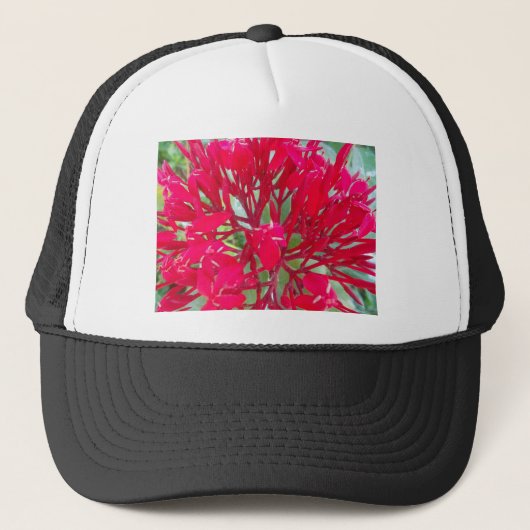 Mooie Geweldige rode bloemen Trucker Pet (Voorkant)