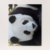 Mooie Giant Panda, Jigzaag Puzzle Legpuzzel (Verticaal)