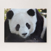Mooie Giant Panda, Jigzaag Puzzle Legpuzzel (Horizontaal)