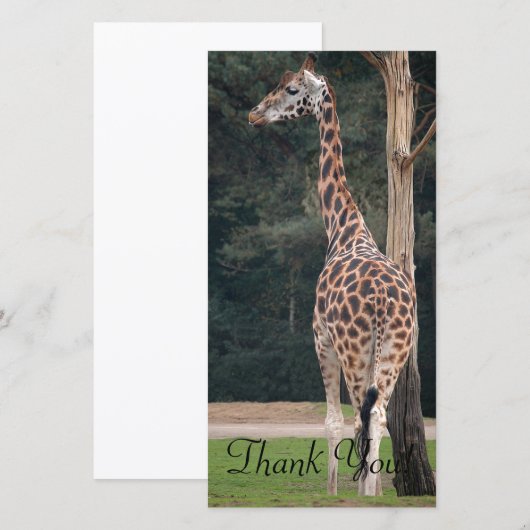 Mooie Giraffe Bedankkaart (Voorkant / Achterkant)