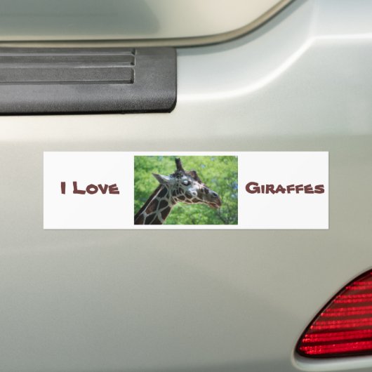 Mooie Giraffe Bumpersticker (Op auto)
