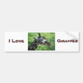 Mooie Giraffe Bumpersticker (Voorkant)