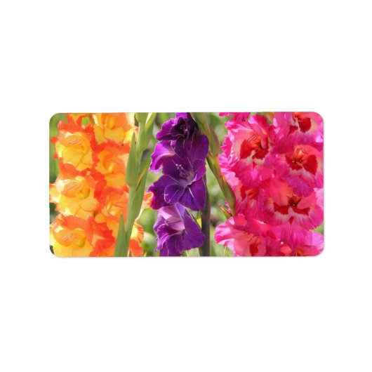 Mooie Gladiolus Blooms Etiket (Voorkant)