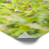 Mooie glimlach poster (Hoek)