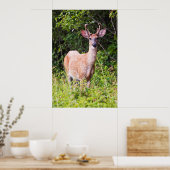 Mooie glimlach poster (Keuken)