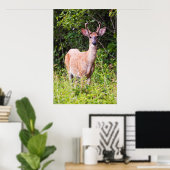 Mooie glimlach poster (Thuiskantoor)