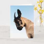 Mooie Goat, altijd Kaart (Gele Bloem)