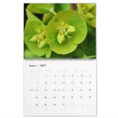 Mooie goede Vibes-tuinen Kalender (Mar 2027)