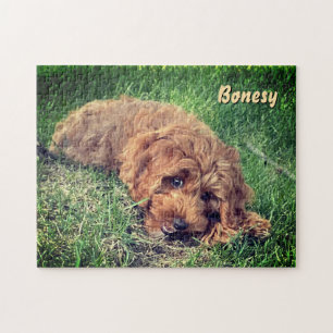 Mooie Golden Doodle 11x14 Puzzel