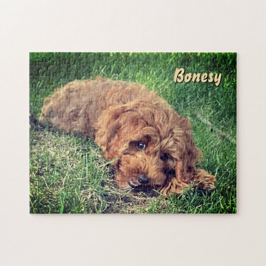 Mooie Golden Doodle 11x14 Puzzel (Horizontaal)