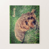 Mooie Golden Doodle 11x14 Puzzel (Verticaal)