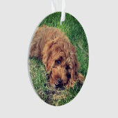 Mooie Golden Doodle kerstbal Ornament (voorkant)