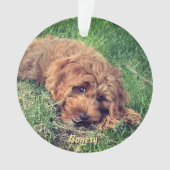Mooie Golden Doodle kerstbal Ornament (voorkant)
