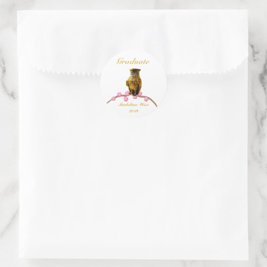 Mooie Golden Owl Afstuderen Sticker (Tas)