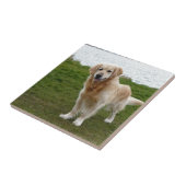 Mooie Golden Retriever Dog Permanent Tegeltje (Zijkant)