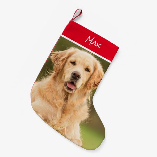 Mooie Golden Retriever Stocking Kleine Kerstsok (Voorkant (Hangend))