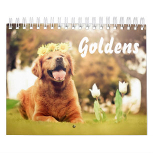 Mooie Golden Retrievers Kalender