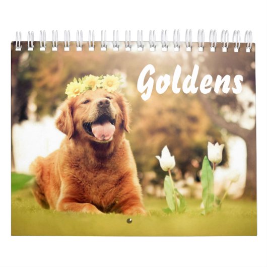 Mooie Golden Retrievers Kalender (Hoes)