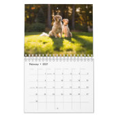 Mooie Golden Retrievers Kalender (Feb 2027)