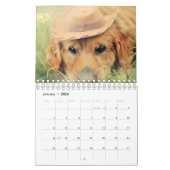 Mooie Golden Retrievers Kalender (Jan 2026)