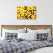 Mooie gouden Forsythia-heester Canvas Afdruk (Insitu (Slaapkamer))