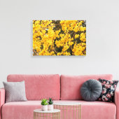 Mooie gouden Forsythia-heester Canvas Afdruk (Insitu (Woonkamer))