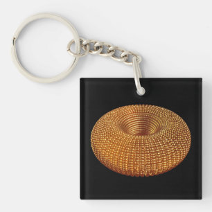 Mooie gouden torus sleutelhanger