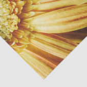 Mooie gouden zonnebloem op zwarte achtergrond tissuepapier (Detail)