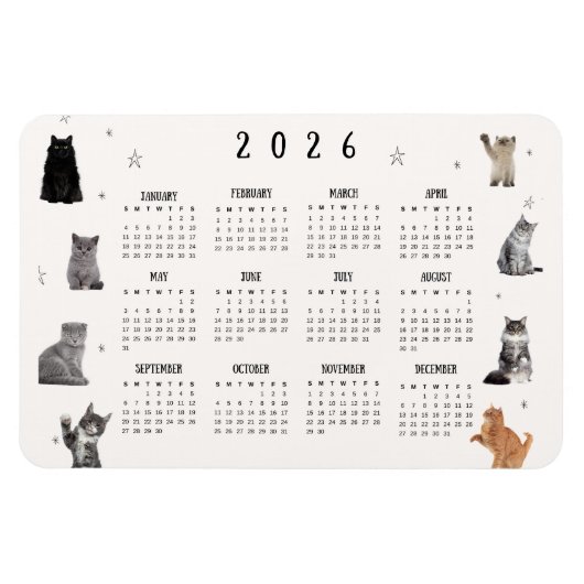 Mooie Grappige Kat 2026 Agenda Magneet (Horizontaal)