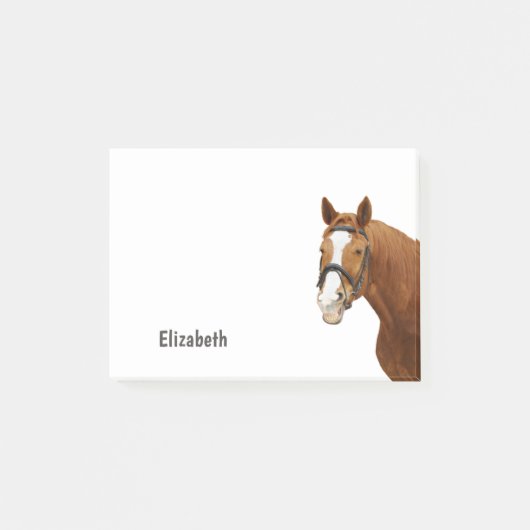Mooie Grappige Paard Persoonlijke Naam Post-it® Notes (Voorkant)