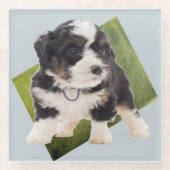 Mooie Green Bernedole Puppy Art Glazen Onderzetter (Voorkant)