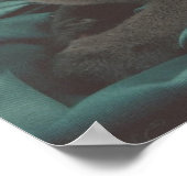 Mooie Grey Cat Afbeelding Poster (Hoek)